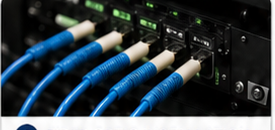 Fiber optic cables connected to telecom equipment